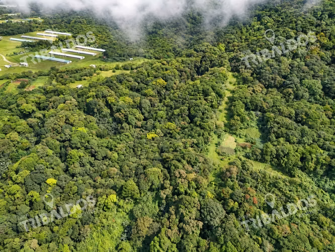 Venta de terreno Ecoturístico a 8km de el pueblo de El Valle de Antón