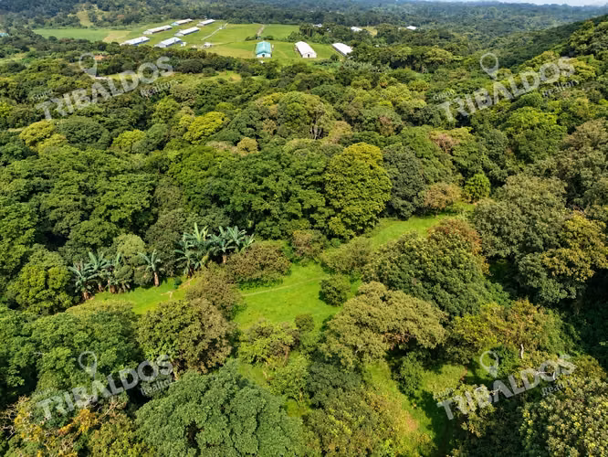 Venta de terreno Ecoturístico a 8km de el pueblo de El Valle de Antón