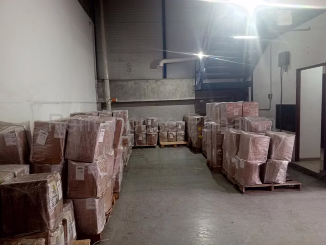 Venta de Galera en Tocumen (Solo Cliente Directo) - Imagen 11