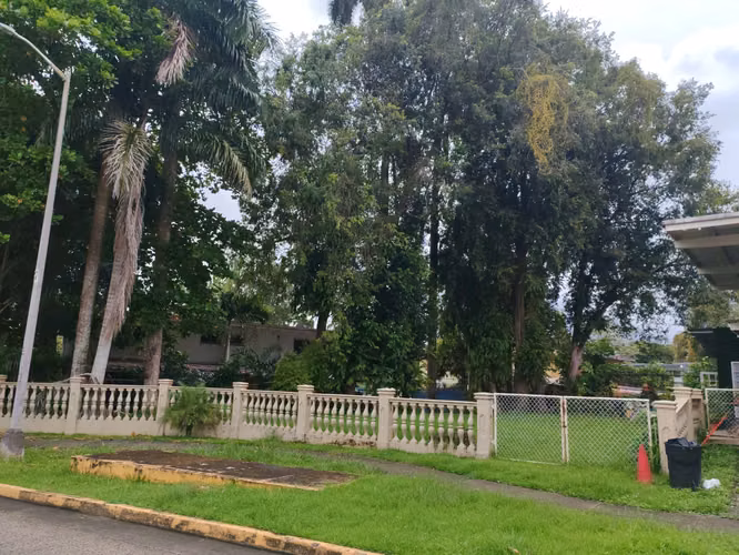 OFERTA   $ 115,000  LOTE 313 M2 DE USO MIXTO AREA REVERTIDA FRENTE A PROXIMO PUERTO COROZAL - Imagen 3