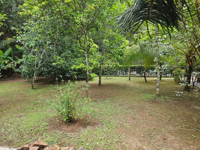 TERRENO EN VENTA EN ÁREAS REVERTIDAS DEL CANAL DE PANAMÁ | 1,221.81 m² | $496,232 - Imagen 3