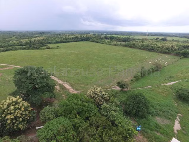 LGU-Venta de terreno en Coclé, Juan Diaz. - Imagen 5