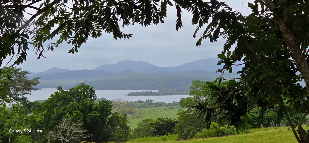 FRENTE LAGO GATÚN LOTES FINANCIAMIENTO DIRECTO DESDE 200 QUINCENAL - OPORTUNIDAD DE INVERSIÓN    - Imagen 15