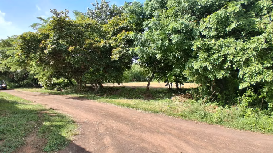 Terreno de 2,000 m² en Venta en Gorgona – A 500 mts del Mar - Imagen 3