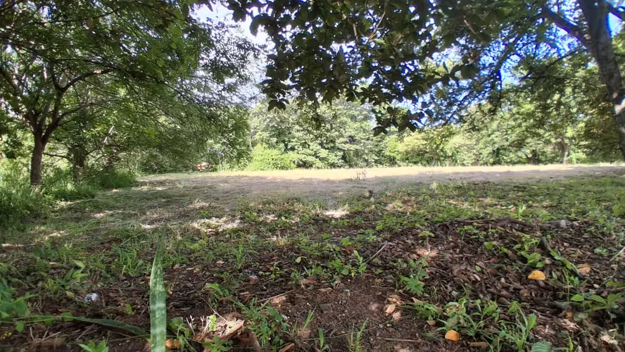 Terreno de 2,000 m² en Venta en Gorgona – A 500 mts del Mar - Imagen 2