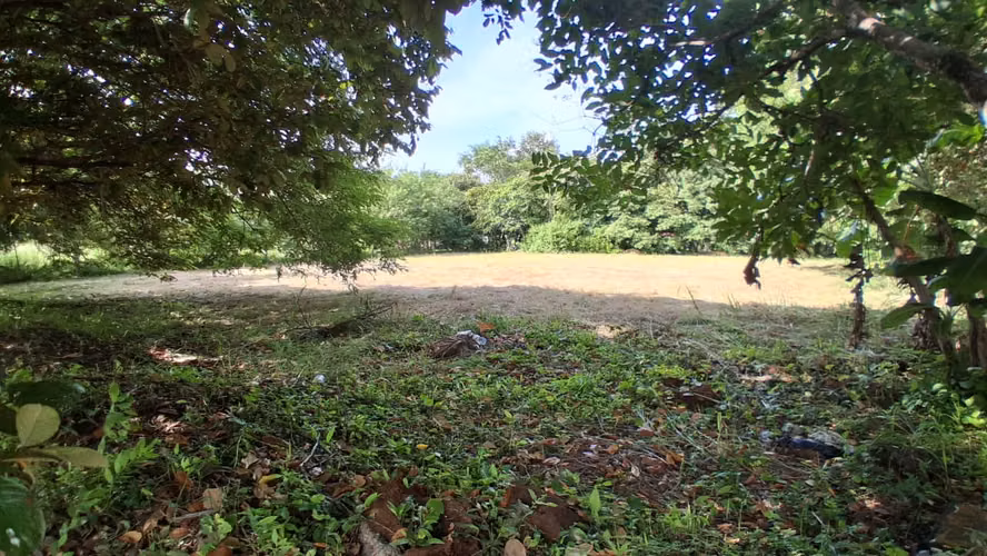Land of 2,000 m ² for Sale in Gorgona - 500 m from the Sea