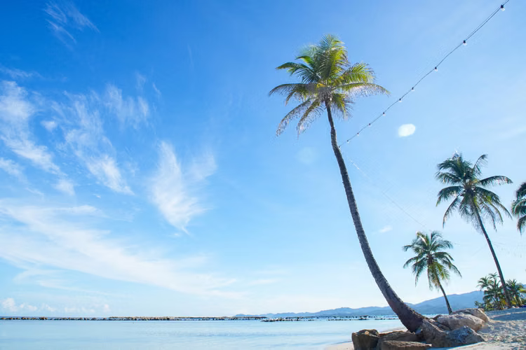 Espectacular apt. vista al mar en Playa Blanca - 317.37 m2 - Imagen 3