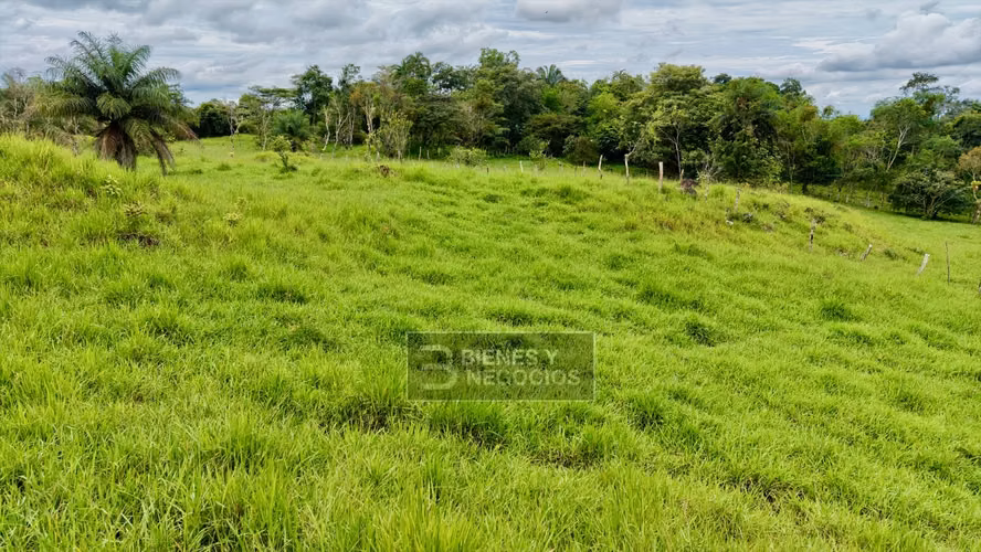 Finca en Chiriquí, Bugaba, 5.3 hectáreas en Bongo - Imagen 5