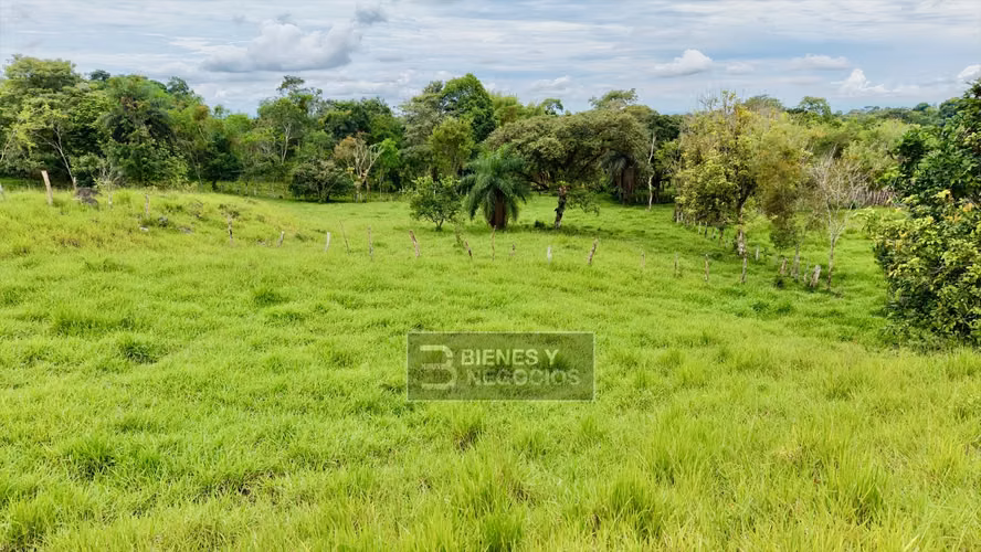 Finca en Chiriquí, Bugaba, 5.3 hectáreas en Bongo - Imagen 4