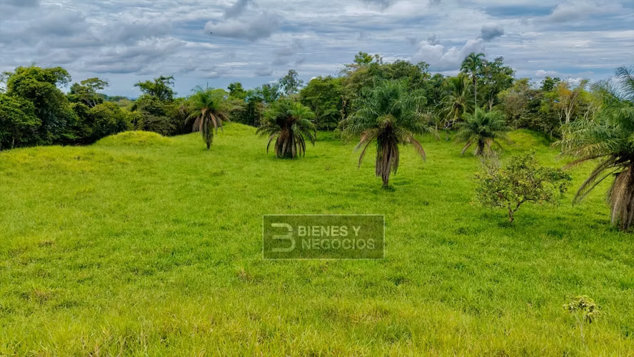 Finca en Chiriquí, Bugaba, 5.3 hectáreas en Bongo - Imagen 6