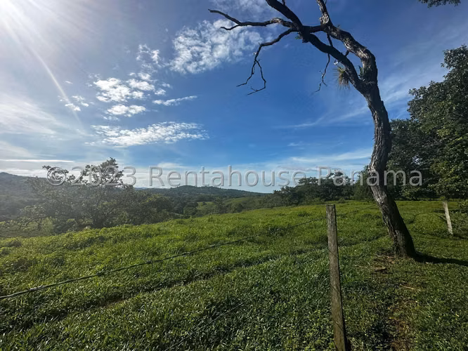 Land for sale in Chiriqui Finca Arenal JV