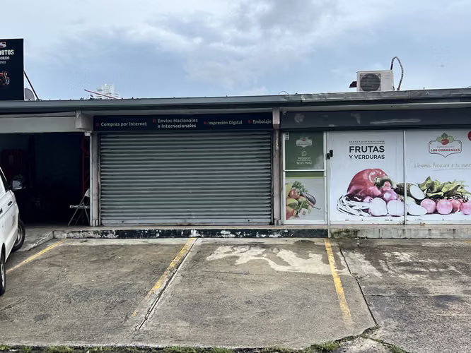 Alquiler Local Comercial Chanis