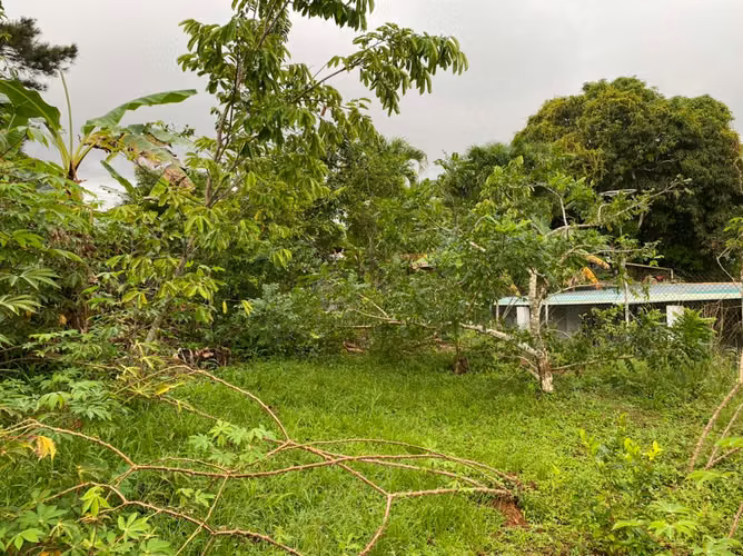 La Chorrera | El Coco | Terreno | subiendo por el Jardín