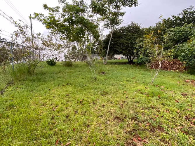 La Chorrera | El Coco | Terreno | subiendo por el Jardín