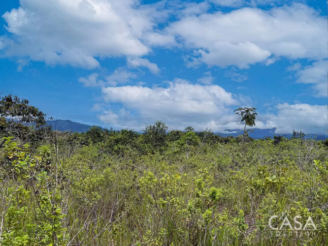 Lote de 9,409 m² en Venta en El Francés, Boquete, con Acceso a la Vía Principal y Vistas a las Montañas - cs id: 242202 - Imagen 11