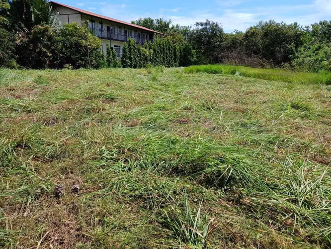 Lote en Venta en Pedasi Playa El Toro 26YCG2750 - Imagen 9