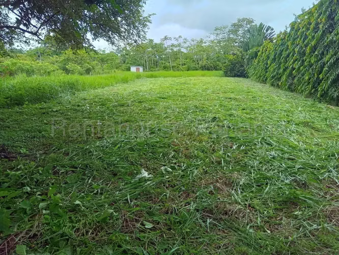 Lote en Venta en Pedasi Playa El Toro 26YCG2750 - Imagen 3