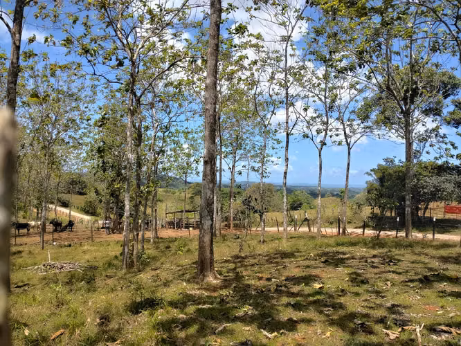 Gran Oportunidad de Inversión Venta de Terreno en Las Mendozas La Chorrera 5,200mtrs - Imagen 17