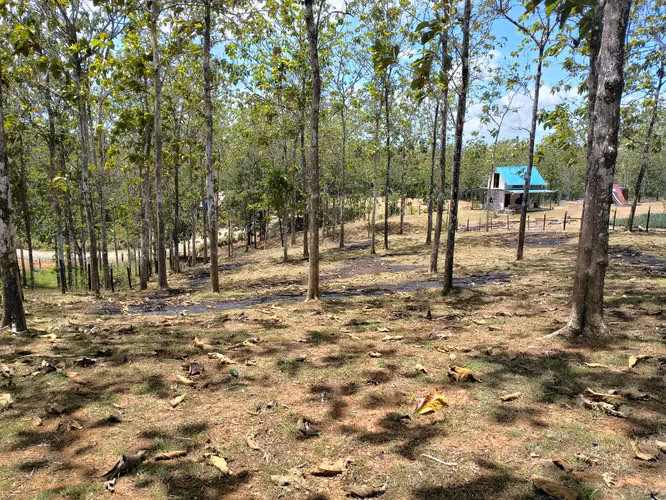 Gran Oportunidad de Inversión Venta de Terreno en Las Mendozas La Chorrera 5,200mtrs - Imagen 9