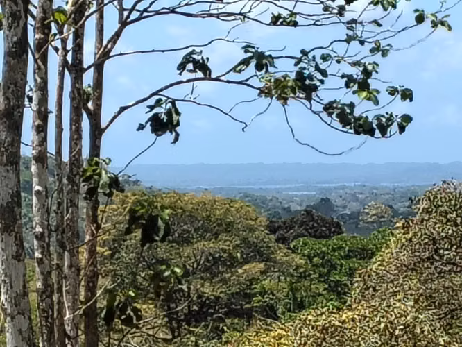Gran Oportunidad de Inversión Venta de Terreno en Las Mendozas La Chorrera 5,200mtrs - Imagen 14