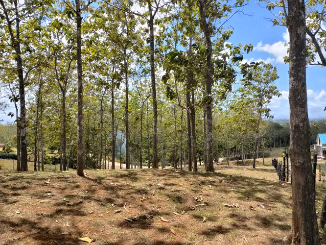 Gran Oportunidad de Inversión Venta de Terreno en Las Mendozas La Chorrera 5,200mtrs - Imagen 2