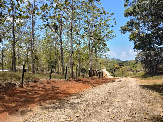 Gran Oportunidad de Inversión Venta de Terreno en Las Mendozas La Chorrera 5,200mtrs - Imagen 6