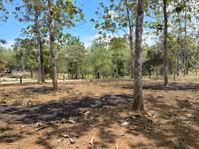 Gran Oportunidad de Inversión Venta de Terreno en Las Mendozas La Chorrera 5,200mtrs - Imagen 10