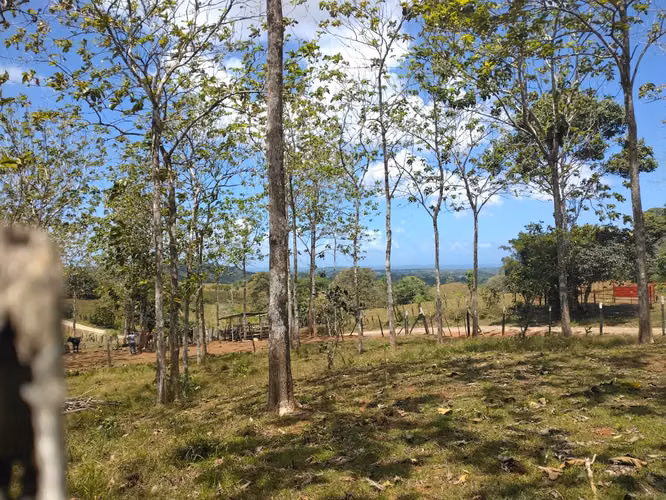 Gran Oportunidad de Inversión Venta de Terreno en Las Mendozas La Chorrera 5,200mtrs - Imagen 15