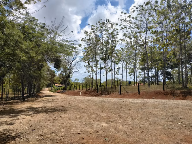 Great Investment Opportunity Land Sale in Las Mendozas La Chorrera 5.200mtrs