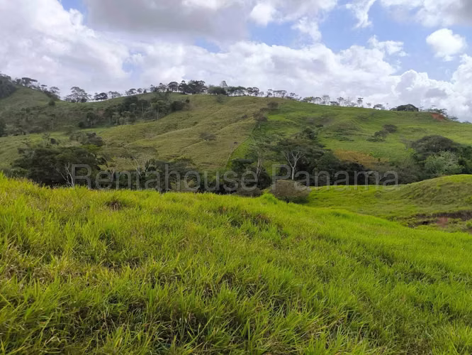 VENTA DE TERRENO EN LIDICE DDB26-5772