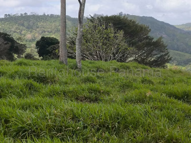 VENTA DE TERRENO EN LIDICE DDB26-5772 - Imagen 13
