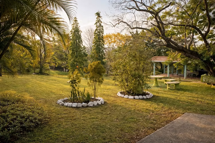 Finca en Venta en Santa Rosa, Capira – 5,163 m² – Zona Fresca y Tranquila - Imagen 4