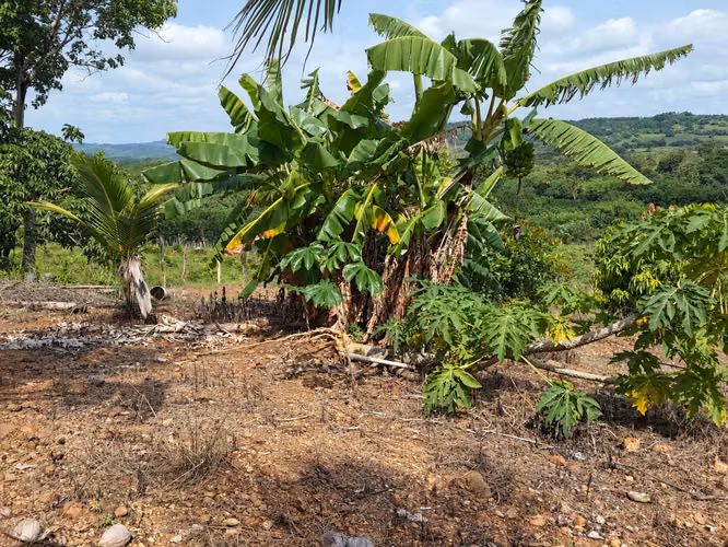 Finca en Venta en Santa Rosa, Capira – 5,163 m² – Zona Fresca y Tranquila - Imagen 17