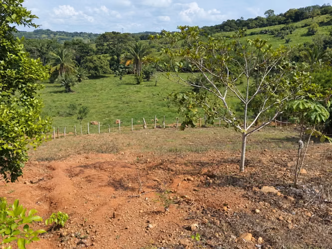 Finca en Venta en Santa Rosa, Capira – 5,163 m² – Zona Fresca y Tranquila - Imagen 16