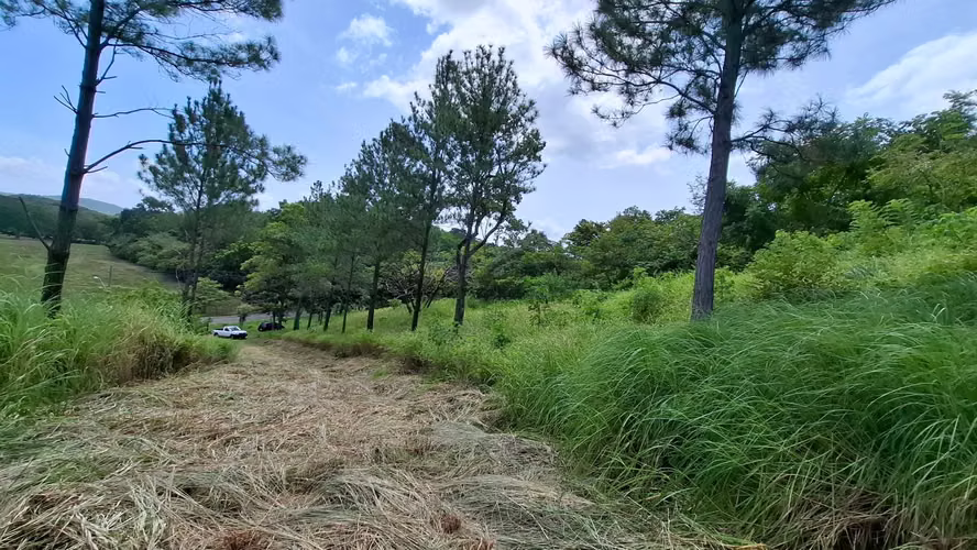 AMPLIO TERRENO DE 5 HECTAREAS DE VENTA EN PUNTA CHAME - Imagen 4