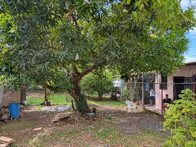 Casa para Remodelar con Terreno de 1,000 m² | Villa Cecilia - Imagen 3