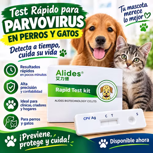 Parvovirus test prueba 