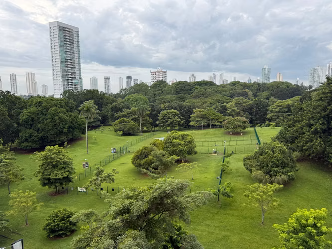 ALQUILER DE APARTAMENTO AMOBLADO EN PH RESIDENCIAS DELSOL - Imagen 18