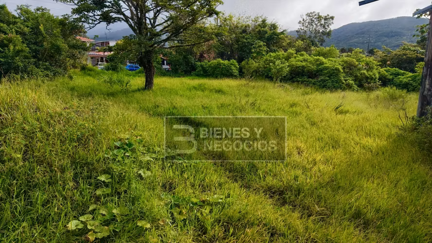 Terreno en Chiriquí, Boquete, 2,512.87 m2 en Alto Boquete - Imagen 5