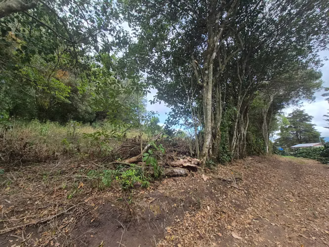 Venta Finca Cafetalera