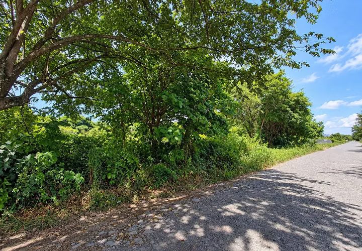 Venta de Terreno en David, Chiriquí, 5,000 m² - Imagen 6