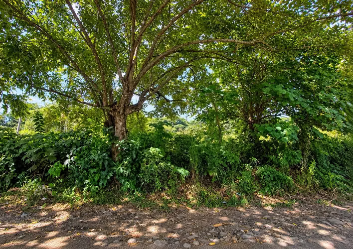 Venta de Terreno en David, Chiriquí, 5,000 m² - Imagen 7