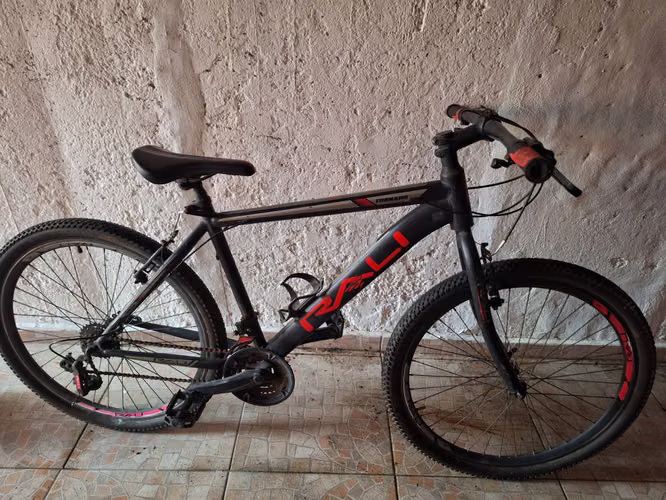 Bicicleta Rali 