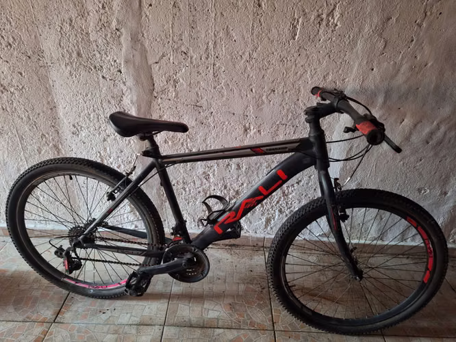Bicicleta Rali  - Imagen 2