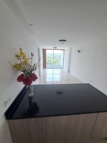 VENDO PH CORAL PLAZA, AVENIDA RICARDO J. ALFARO, TUMBA MUERTO-M - Imagen 14