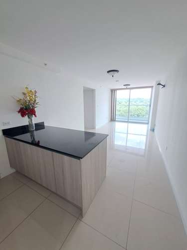 VENDO PH CORAL PLAZA, AVENIDA RICARDO J. ALFARO, TUMBA MUERTO-M - Imagen 11