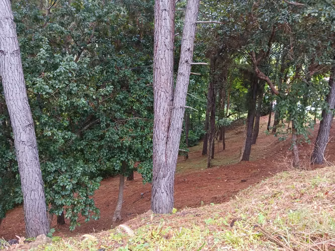 Beautiful Lot for sale - Granada Residencial, Altos del Maria