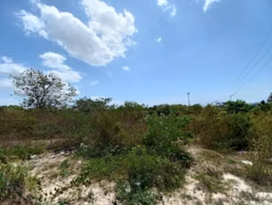 Rio Hato. Terreno enfrente a la interamericana 13699mts $958,900.00neg  - Imagen 7