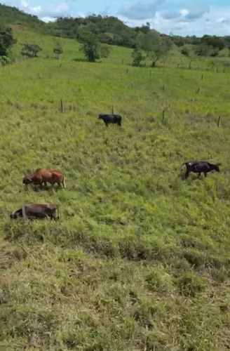 $360,000 SE VENDE ESPECTACULAR FINCA DE 17 HECTAREAS EN CALOBRE - Imagen 6