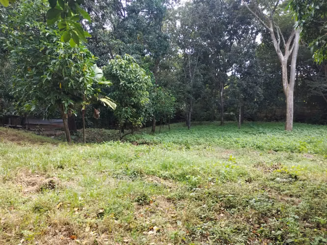 LAND TITLED FOR SALE - VIA PENONOMLA PAINTED, COCHE